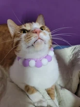 Bola de peluche de Collar para perros y gatos Collar dulce bufanda para perro lindo gatito accesorios Rosa correa para el cuello perrito con perla perro Pug Chihuahua