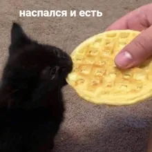 M***T