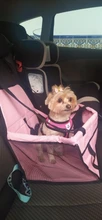 Vest Carrier Basket Seat Car-Seat-Cover Dog-Harness Dog-Booster Cat Travel Hanging-Bags