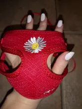 Chaleco para gatos mascota con arnés Floral para perros pequeños, conjunto de arnés y correa de malla acolchada, para cachorros, Chihuahua, Yorkie 10E