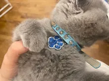 Collar de cuero sintético con diamantes de imitación para perros y gatos pequeños, accesorios para mascotas, correa para Collar de perro de diamantes, 12 colores
