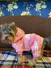 Para Perros Adidog ropa de perro mascota Sudadera con capucha para pequeño mediano perros invierno nueva de cuatro patas de algodón cómodo cálido ropa osito cachorro ropa