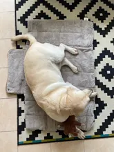 Camas plegables para perros y gatos, esteras para gato, cojín portátil suave, cómoda de llevar, Cama grande, gruesa y cálida, básico de viaje