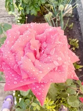 Caja de bloqueo de llave de aleación de aluminio montada en la pared caja de seguridad a prueba de agua 4 dígitos caja de bloqueo de almacenamiento de llave de combinación interior al aire libre