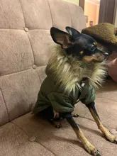 Hoodie Clothing Pet-Jacket Dog-Coat Small Dogs Chihuahua For Yorkshire Winter Cotton