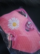 Chaleco para gatos mascota con arnés Floral para perros pequeños, conjunto de arnés y correa de malla acolchada, para cachorros, Chihuahua, Yorkie 10E