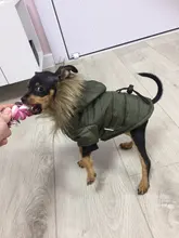 Hoodie Clothing Pet-Jacket Dog-Coat Small Dogs Chihuahua For Yorkshire Winter Cotton