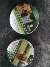 Dewel Collar Antiparasitos Perros/Gatos Contra Pulgas,Garrapatas y Mosquitos,Tamaño Ajustable e Impermeable para Mascota Pequeño Mediano Grandes