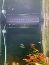 Campana protectora germicida ultravioleta con soportes para acuario, pantalla de 10cm/22cm/28cm para peces, suministros de alimentación