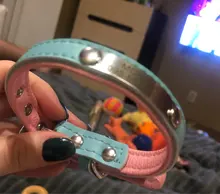 Puppy-Dog-Cat-Collar Engraved Bling Custom Personalized Pet-Dog Dogs Chihuahua Collars