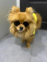 Puppy-Outfit Dogs-Clothing Chihuahua Dog Hoodie Pets Spring Small Fashion Medium