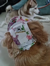 Dog-Cap Headdress-Accessories Puppy Beach-Visor Ear-Holes Dogs Small with for Canvas-Cap