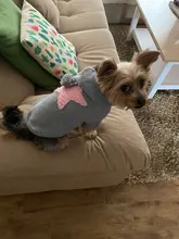 Sweater Puppy-Dog French Bulldog PETCIRCLE Teddy Chihuahau Winter Autumn Starfish Nordic