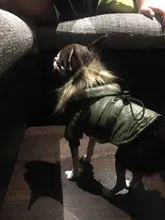 Hoodie Clothing Pet-Jacket Dog-Coat Small Dogs Chihuahua For Yorkshire Winter Cotton