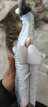 Cat-Toy Playing-Supplies Simulation-Fish-Toys Pet Usb-Charging Cat-Chewing Fish-Shape