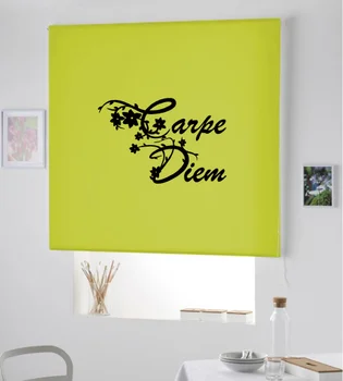 Blind Iroa rolling youth/Hornbeam Diem! ROLLER BLINDS TRANSLUCENT! (PISTACHIO 100X175) 
Blind Iroa rolling youth/Hornbeam Diem! ROLLER BLINDS TRANSLUCENT! (PISTACHIO 100X175)