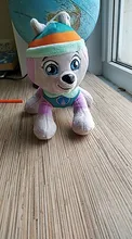 20cm Peluche pata patrulla perro de Peluche mariscal Everest rastreador Chase Skye de Peluche muñeca animé de Peluche juguetes de Peluche juguete para regalo