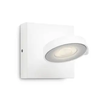 Focus Clockwork
Focus Clockwork