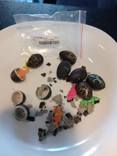 10 unids/set magia dinosaurios creciendo eclosionando agua crecer huevo de cría de animales proceso educativo enseñar divertido juguetes para chico