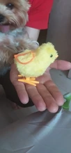 Juguetes para niños, relleno de medias de pollito de cuerda mecánica, juguetes pequeños de animales para niños, regalos