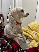 Mono de lana suave para perro, ropa de invierno para perros, pijamas para perros pequeños, trajes para mascotas, ropa con capucha para perros