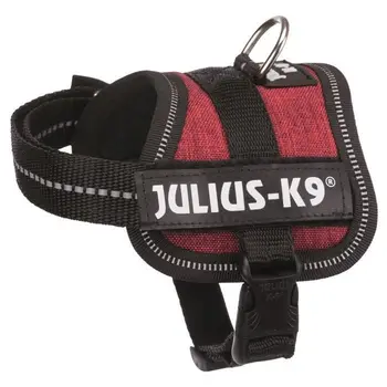 TRIXIE Harness electric Julius-K9 Baby XS: 30  40 cm-18mm-Red Bordeaux-dog 
TRIXIE Harness electric Julius-K9 Baby XS: 30  40 cm-18mm-Red Bordeaux-dog