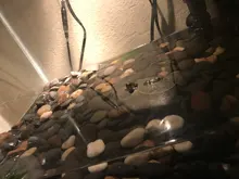 Clip-Light Basking-Lamp Lizard Turtle Pet-Heating Snake Reptile-Uva UVB Tortoise Animal