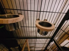 Tazas de alimentación de aves con abrazadera, jaula de loro, Bol colgante, plato de acero inoxidable para Gallinero