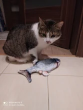 Gato cargador USB juguete interactivo de disquete pez gato realista juguete de gatos domésticos masticar morder juguetes suministros para mascotas gatos perro de juguete