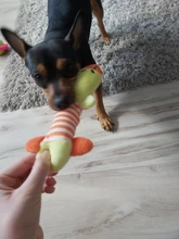 Juguetes Para Perros resistentes a las mordeduras, baquetas de pollo creativas, juego de mascotas, juguetes para masticar para perros, cachorros