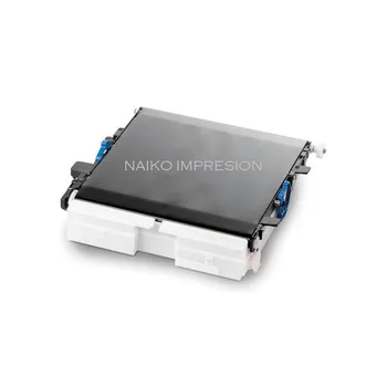 Belt Transfer Toshiba e-studio 222CP/222CS/224CS/262CP/263CP/263CS/264CS 44472206
Belt Transfer Toshiba e-studio 222CP/222CS/224CS/262CP/263CP/263CS/264CS 44472206