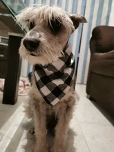 Pañuelo clásico a cuadros para perros y gatos, accesorios para el cuidado de mascotas, bufanda pañoleta, toalla de Saliva