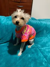 De lana caliente ropa de perro mascota lindo cráneo impreso Pet cachorro camisa para perros chaqueta Bulldog francés Jersey camuflaje perro ropa