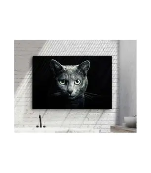 Picture with printed photography model FELINE Schuller
Picture with printed photography model FELINE Schuller