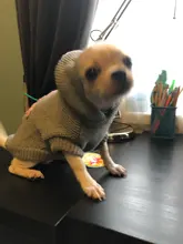 Sweater Puppy-Dog French Bulldog PETCIRCLE Teddy Chihuahau Winter Autumn Starfish Nordic