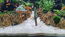 Fish-Tank Ornament Aquatic-Decoration Plant Mesh/christmas-Tree-Shape Grow-Landscape