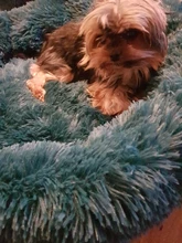 Cama de perro suave juguetes de peluche Donut sátiro ronda perro perrera Ultra lavables suaves perro gato cojín de cama de sofá cálido Venta caliente