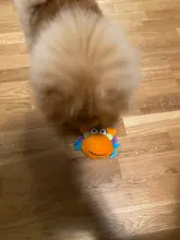 De calamar juguete de perro de mascota de peluche de juguete de masticar cachorro prensa sonido de chirrido juguetes para perros varios juguetes