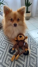 Juguetes con forma de Animal para perros pequeños y grandes juguete para morder, chirriante para cachorros, juguete interactivo para masticar, accesorios para mascotas