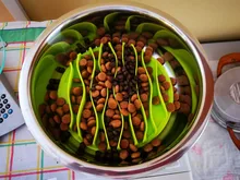 Slow-Feeder Bowl Bloat-Supplies Puppy Eating Feeding Stop Jungle-Design Food Anti-Slip