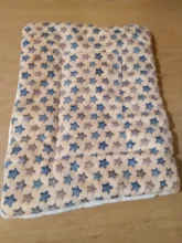 Rug Mattress Large Cartoon Dog-Pad Soft-Cushion Cat Printed Flannel Warm And Pet-Mat