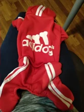 Suéter con capucha Para gato, Ropa cálida Para mascotas, Para gatos, Sphinx, satten, Ropa Para gatos, Kedi, Giyim, productos Para mascotas