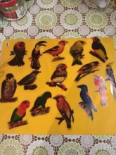 Pegatinas transparentes de PVC de simulación para álbum diario, pegatinas decorativas de animales, mariposas y pájaros, bosque creativo, 30 Uds.