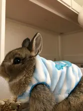 Ropa de Gato cálida para gatos, ropa de primavera y Gato, de lana suave, gatito, gatito, abrigos para gato, chaqueta, disfraces