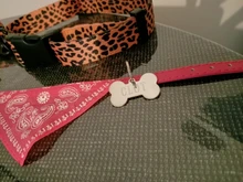 Pet-Accessories Leash-Set Color-Suit Dog-Collar Dogs Leopard Beagle Designe for Pet-Kit