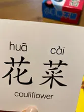 Ilustración para bebé, juguetes educativos en 3D para edades tempranas, tarjeta cognitiva, animales, Tigre, León, Panda, materiales Montessori, juegos en inglés