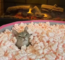 BONJOMARISA el gran tamaño 43 tacones para chicas sólida plataforma de hebilla con Janes bombas mujeres Lolita de fondo grueso gótico zapatos de mujer Zapatos