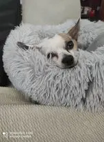 Cama de peluche larga rectangular para perro, antideslizante, botón cálido, cojín para cachorro de invierno, alfombra mascota suministros para perro pequeño, mediano y grande