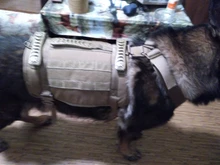 Dog-Vest Pet-Training-Vest Military-Working Tactical Dogs Strong-Dog Large with Handle