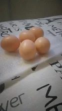 Juego educativo para incubar huevos de gallina, simulación de cría de huevos artificiales de plástico, pintura artesanal, huevo de Pascua, 5 uds.